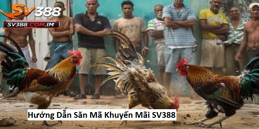 Hướng Dẫn Săn Mã Khuyến Mãi SV388