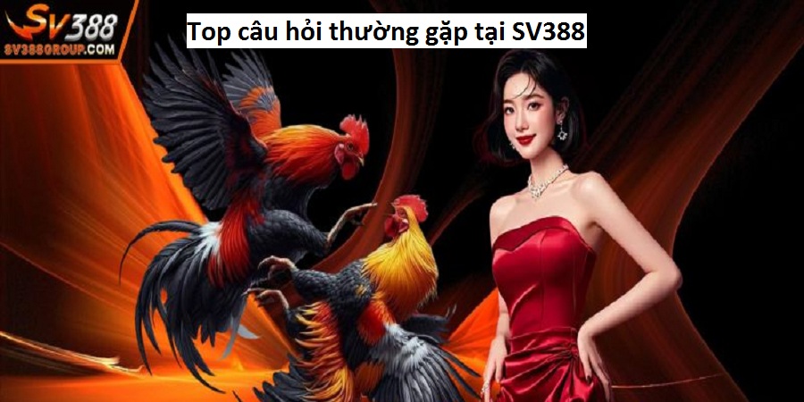 Top câu hỏi thường gặp tại SV388